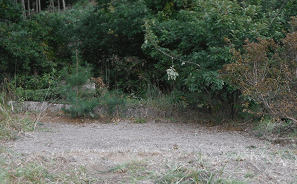 3 墓石の撤去・更地化